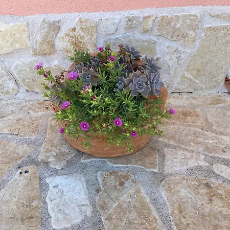 Iris Hébergement de vacances Trbounje