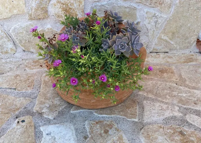 Iris Vakantiehuis Trbounje